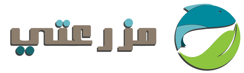 الشعار