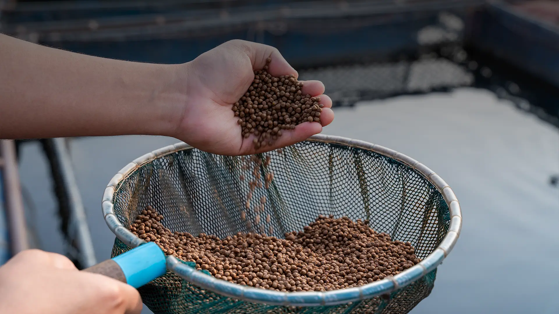 طلبات تشغيل